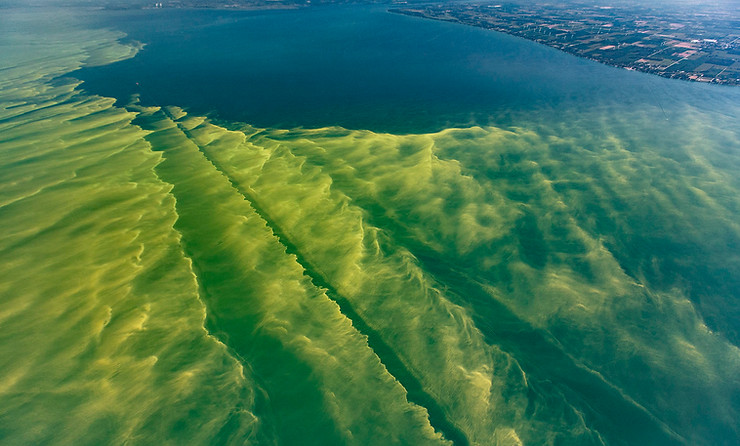 Cyano-Aerial-2-NOAA-GLERL_T-Davis.jpeg