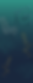 BG.png