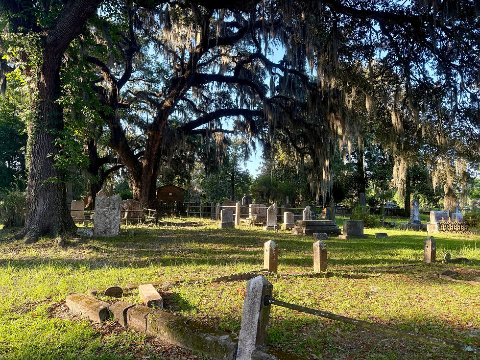 the-summer-i-spent-in-cemeteries.jpg