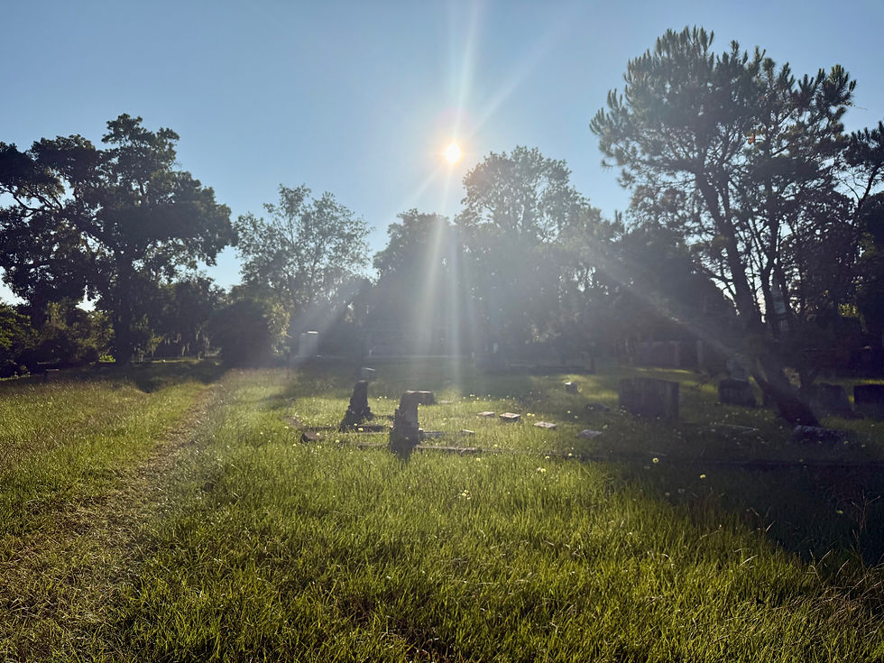 morning-cemetary_edited.jpg