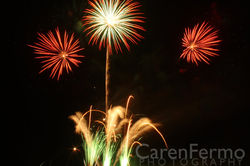 IMG_4272.jpg