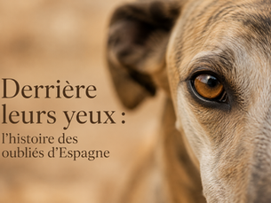 Derrière leurs yeux : l'histoire des oubliés d'Espagne.