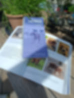 Miniature : Carnet d'exercices "Le chien et son language" Katja KRAUSS et Gabi MAUE
