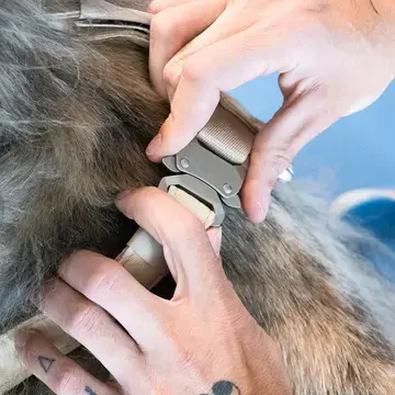 Miniature : Qisu Harnais Air Blue XS