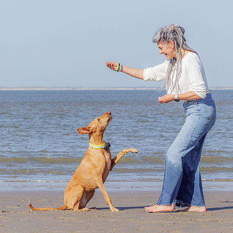 Quelques nouveaux apprentissages dans un endroit aux stimuli très intenses