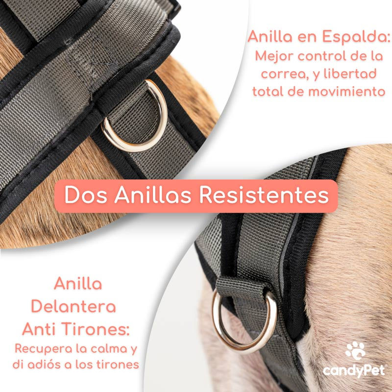 Miniature : Harnais trois points  - veiligheidstuigne