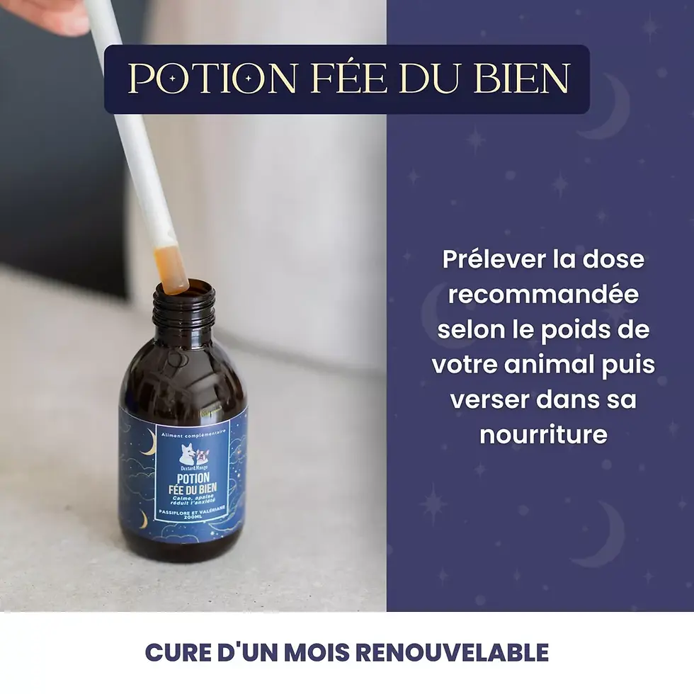 Miniature : Potion Fée du bien
