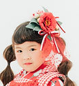 TOYO7341_edited_edited.jpg