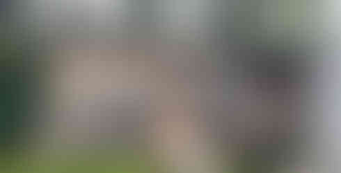 Digitales Coworking mit Soulmates & Business Friends im Grünen im WE GROW Garten-Office