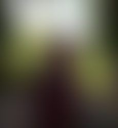 Irene Jo's Volunteer Work at Scripps Memorial Hospital