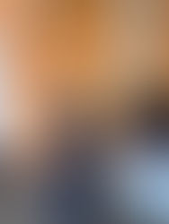 Alexandra's Internship with VAW Global Health Alliance