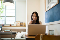 Rockwool Safe 'n' Silent Pro 4