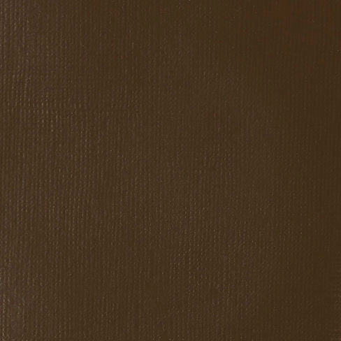 Transparent Raw Umber Professional Acrylic Paint Liquitex