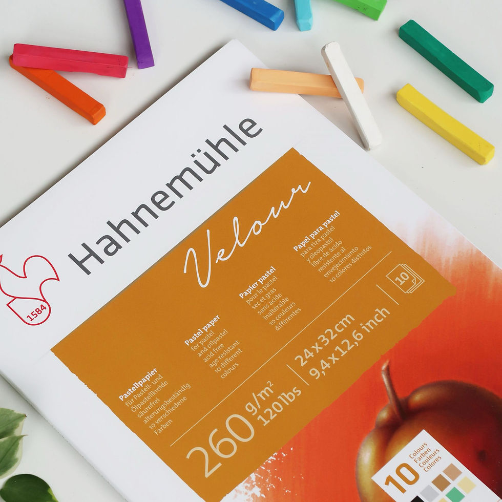 Bloc pastel Velour Hahnemuhle 24 x 32cm 260gr [Sugestie de prezentare]