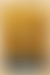 H10O, fonte di vita binaria