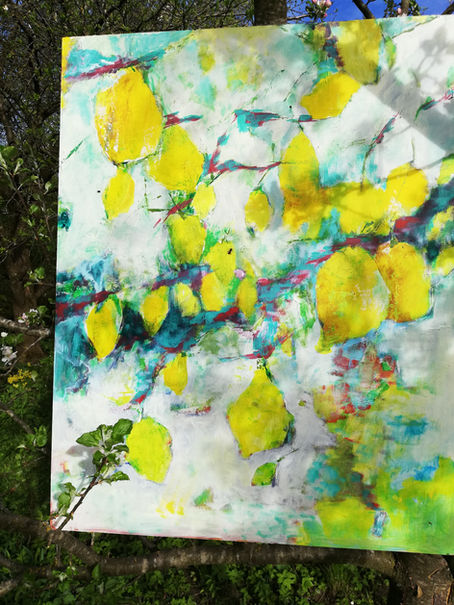 The lemons from Liguria