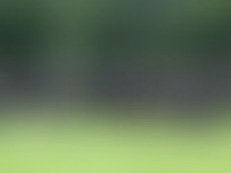 Group Development Training has commenced