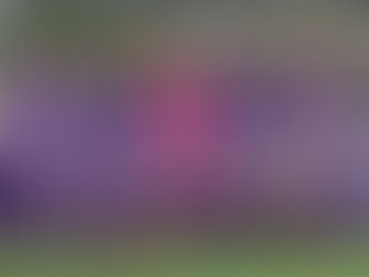 Under 13 Top of the league