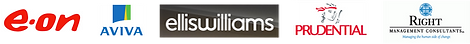 elliswilliams logo