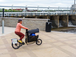 Muli with a sun cover