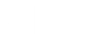 VIZ_white.png