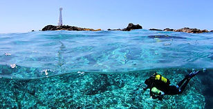 Diving-in-Azores-Portugal-always-the-bes
