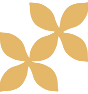 old people care and service