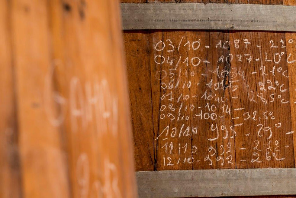 2015 DE CUVE DE CHEZ MI2014 DSC_4100