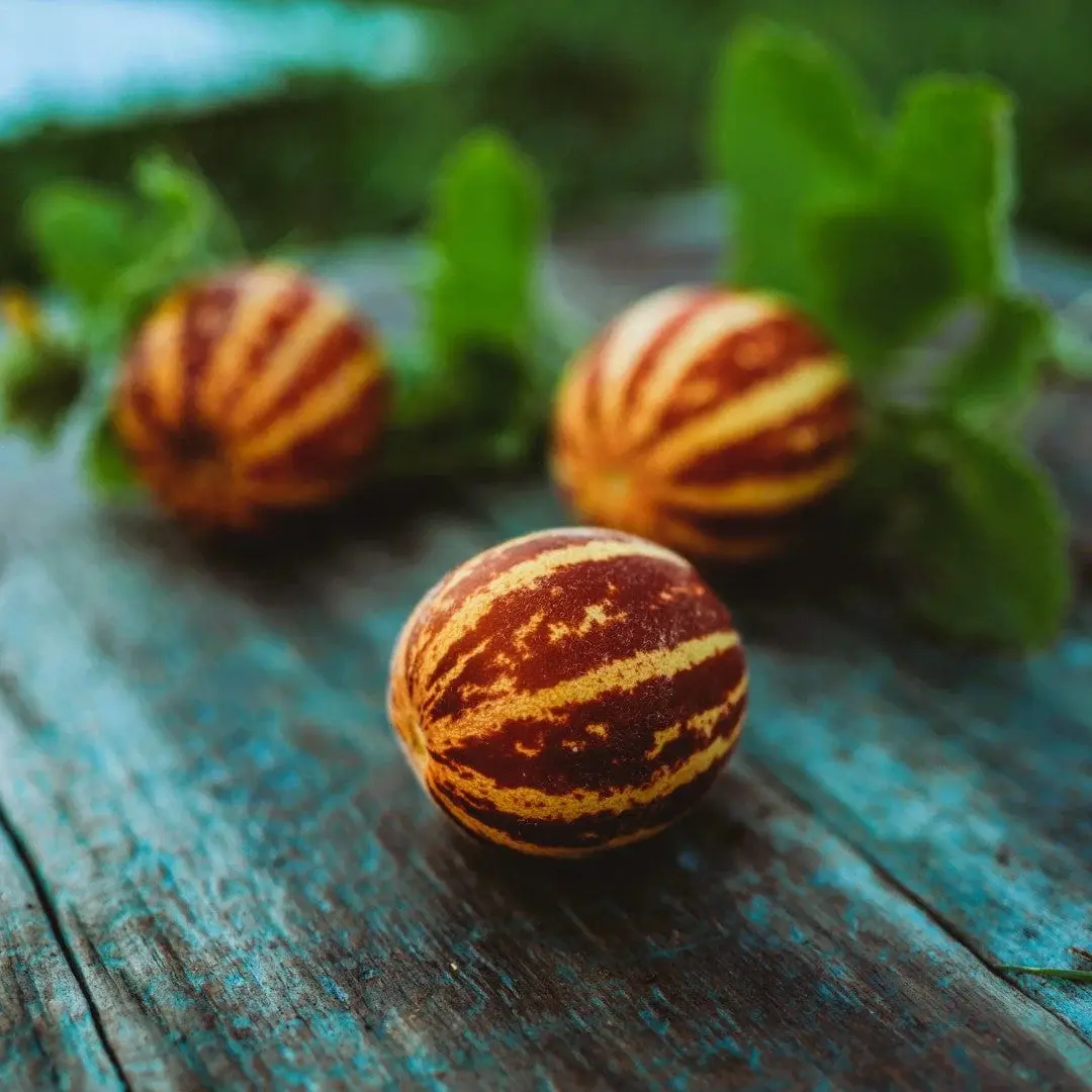 Watermelon Rich Sweetness 132