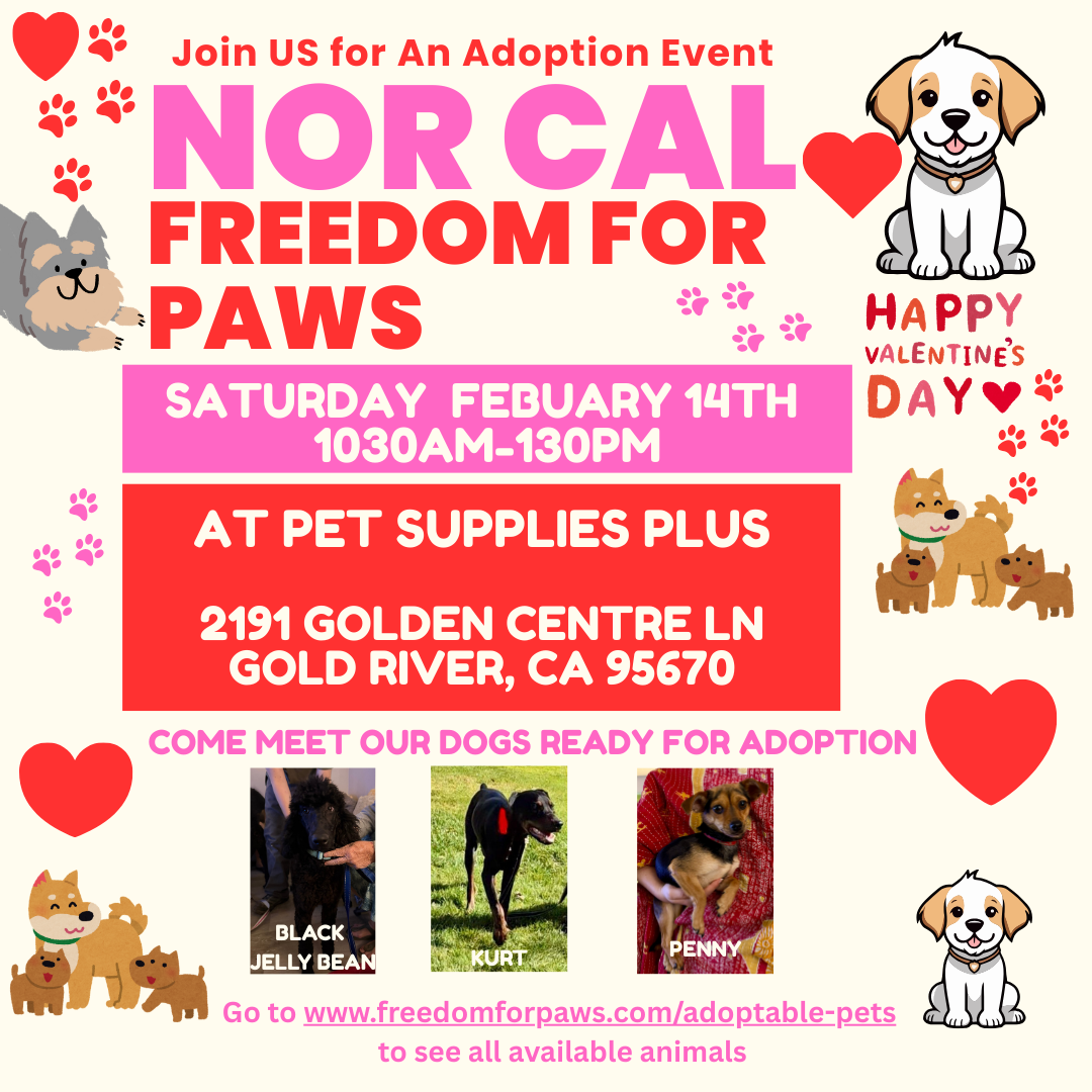 Norcal Freedom For Paws