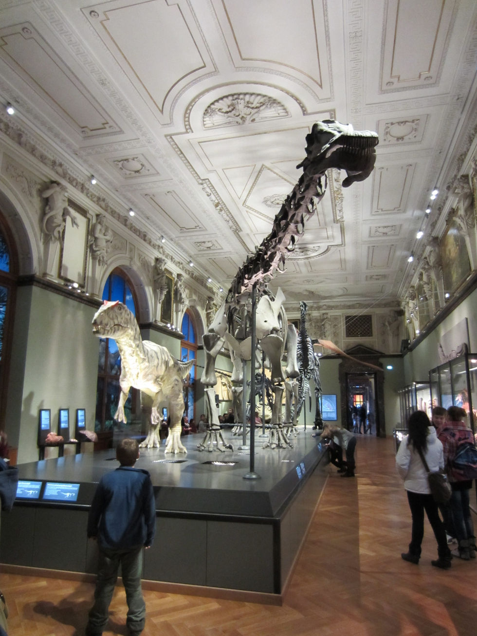 NHM Wien(1).jpg