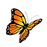 Orange & Yellow Monarch