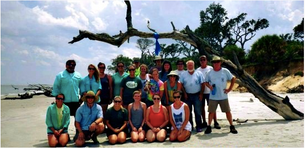 Who is involved in saving the sea turtles and who else can be?