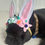 Thumbnail: Meri Meri Bunny Dress Up Head Hand