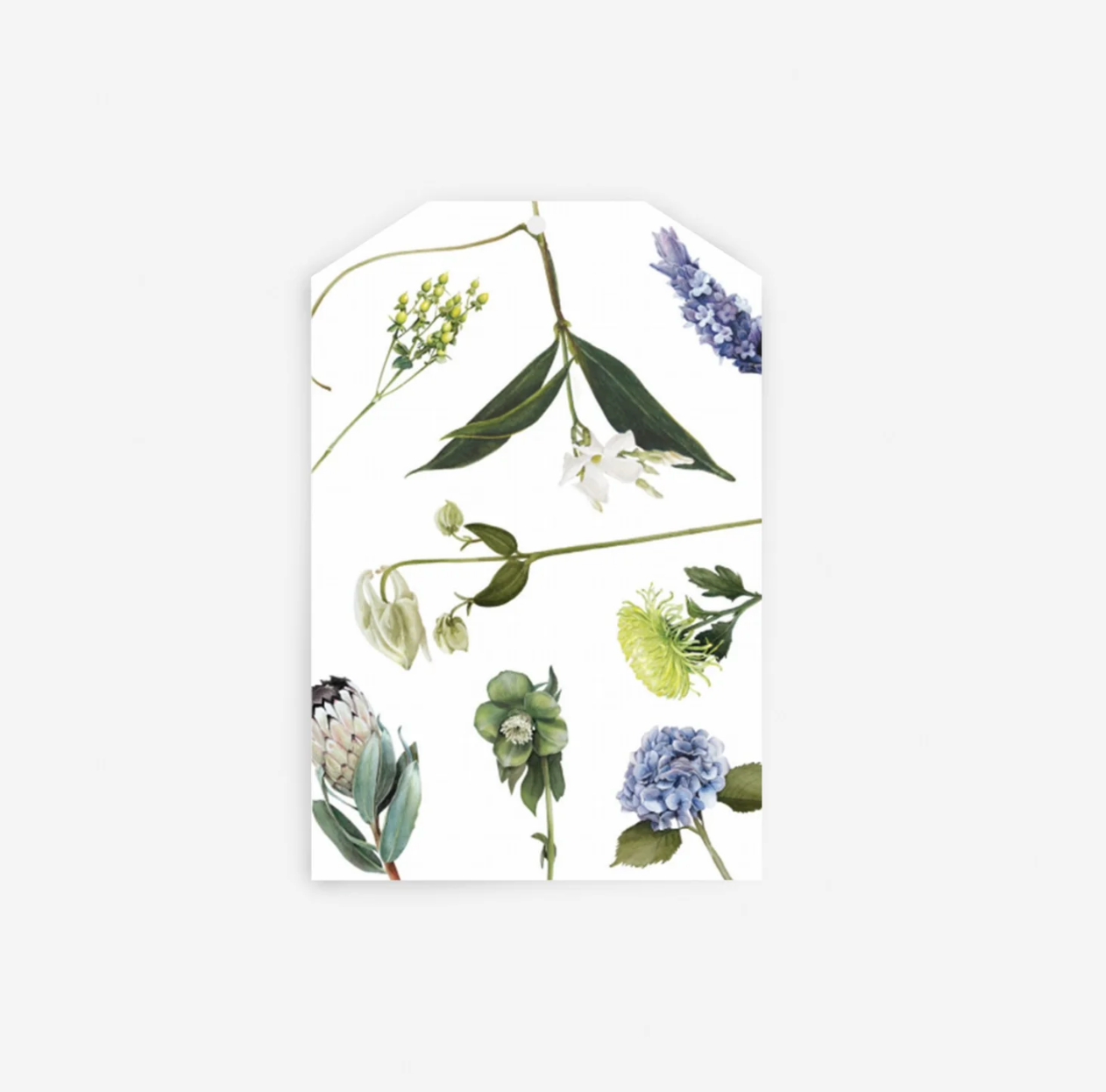 Father Rabbit Gift Tag - Flowers