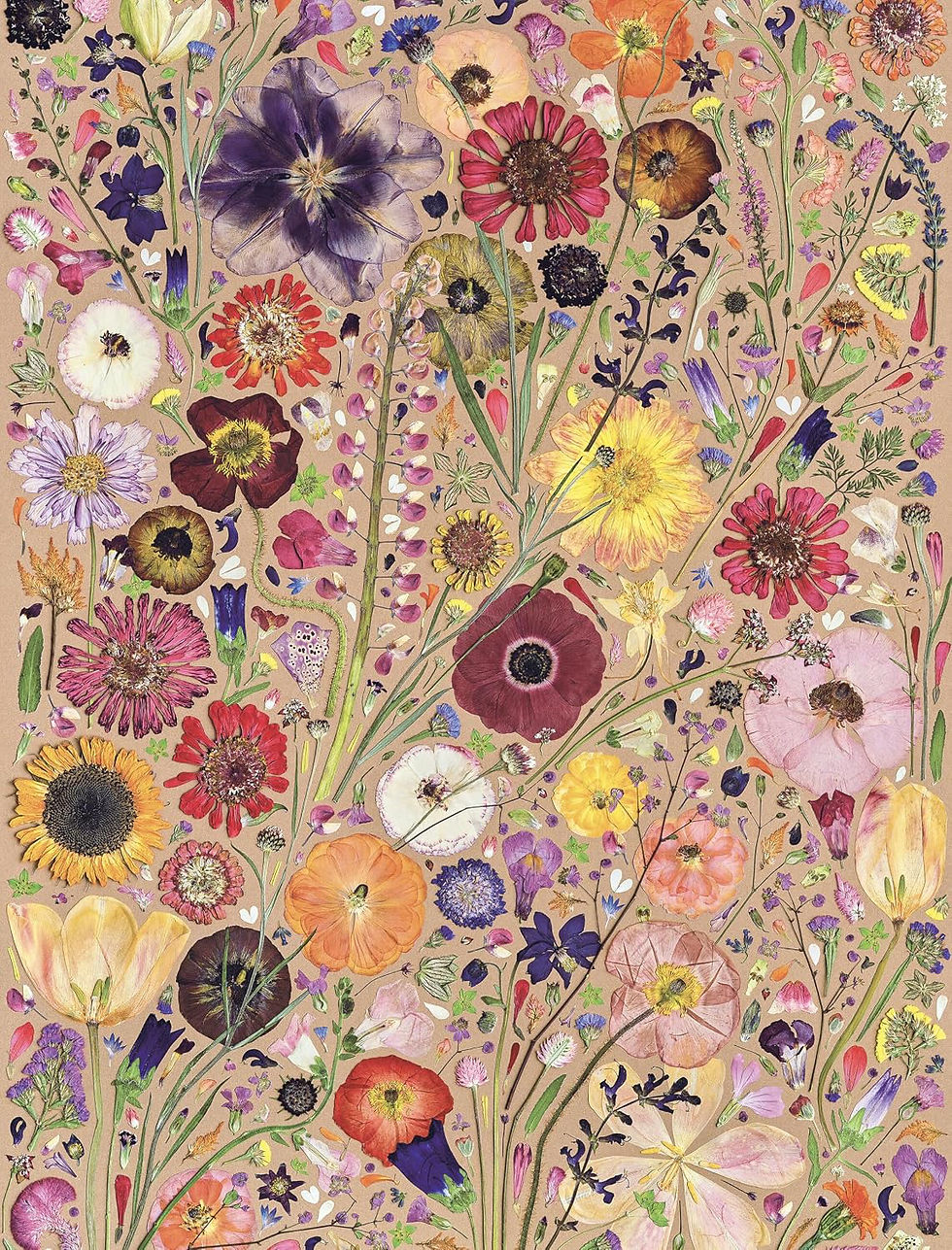 Thumbnail: Beautiful Blooms Wrapping Paper Book  - By Keith Kralik and Rachel Parri
