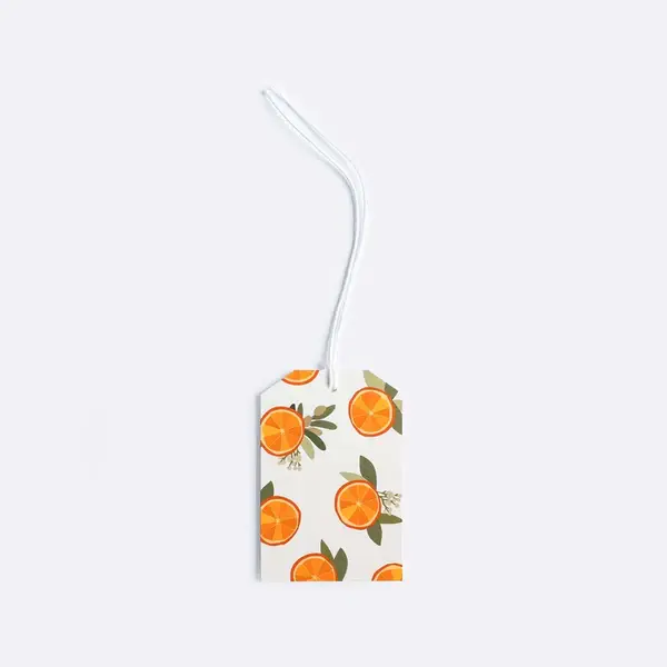 Father Rabbit Gift Tag - Oranges