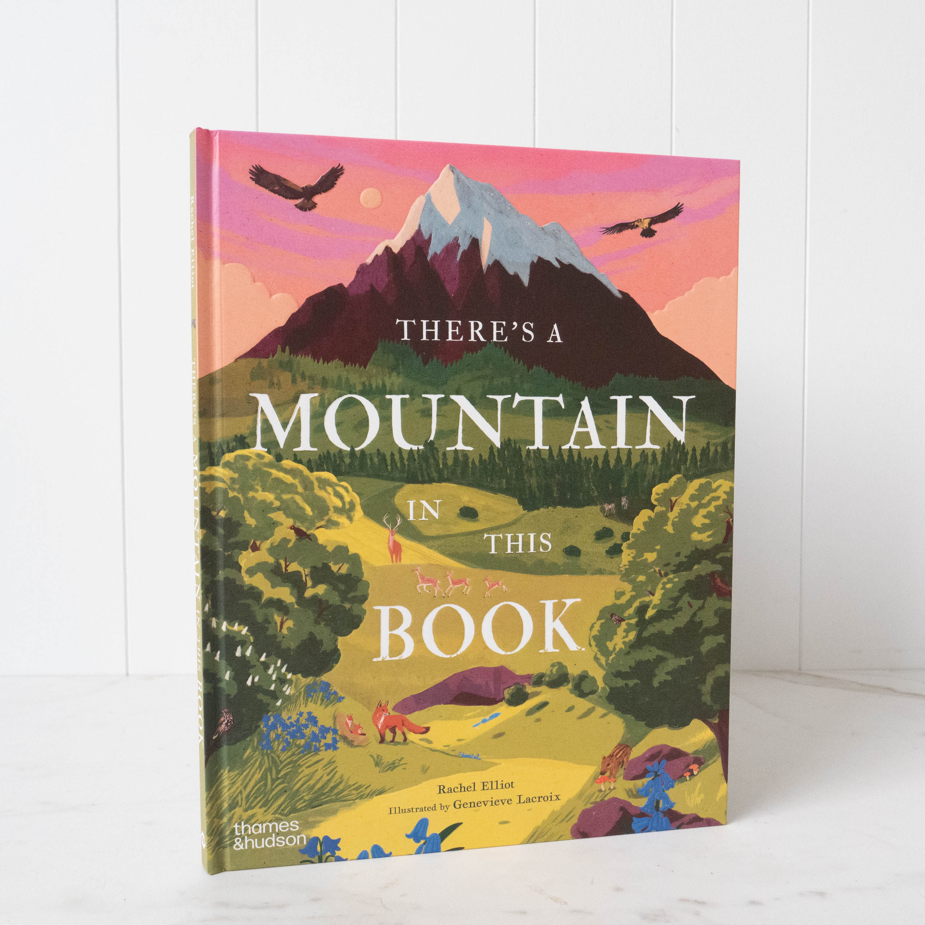 There's a Mountain in this Book - Rachel Elliot & Genevieve Lacroix