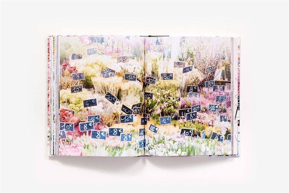 Thumbnail: Paris in Bloom - Georgianna Lane