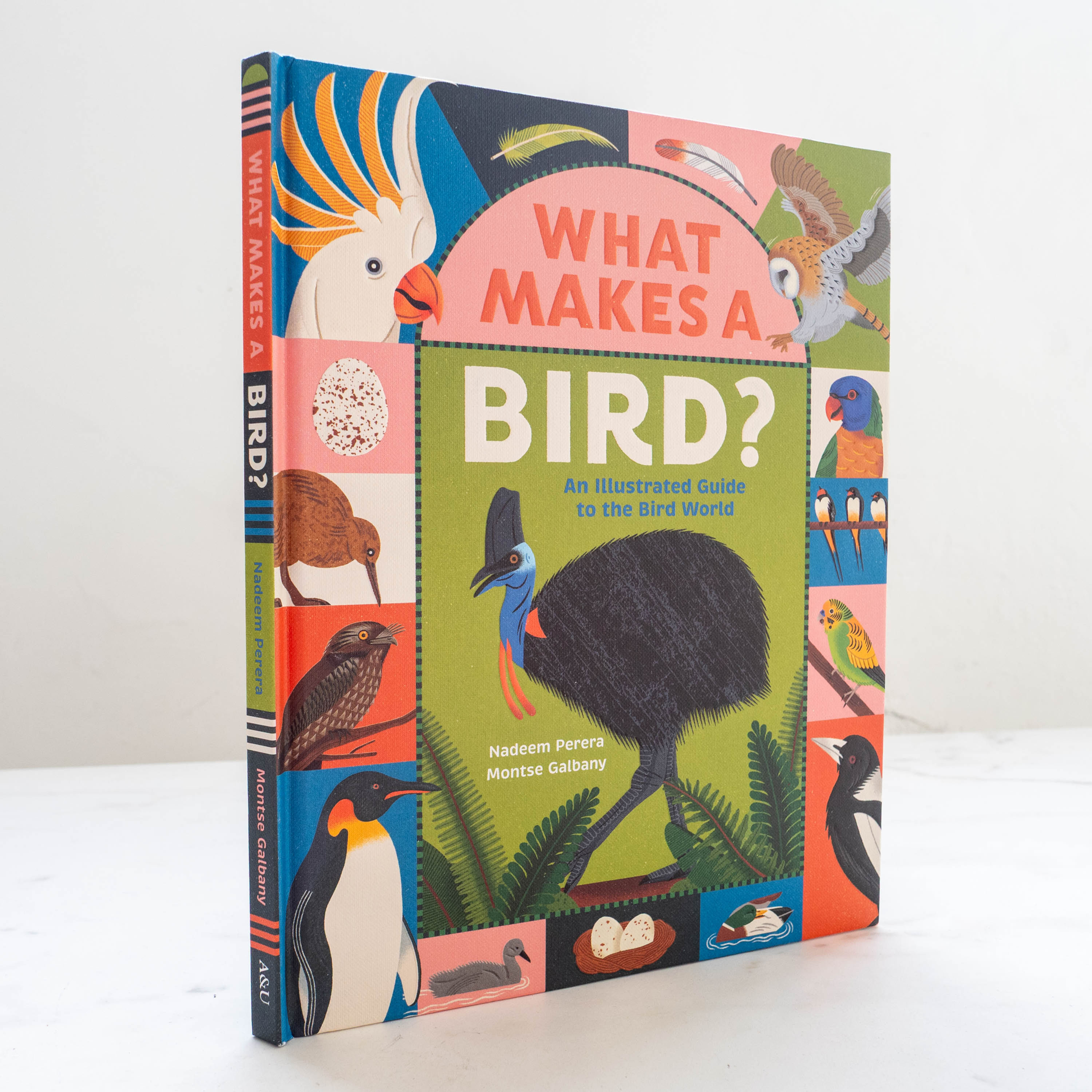 What Makes A Bird? : An Illustrated Guide to the Bird World - Nadeem Perera