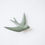 Thumbnail: Monochromic Ceramic Swallow - Olive Green