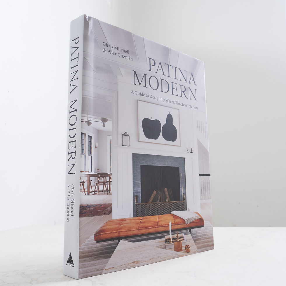 Patina Modern  - Chris Mitchell & Pilar Guzman
