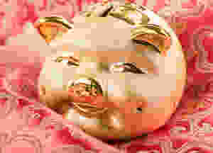 2019 Year of the Pig