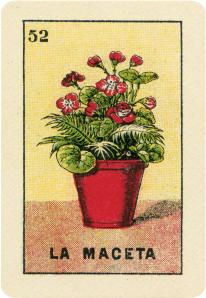 52. La Maceta Loteria.jpeg