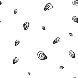 Clam Shells Black