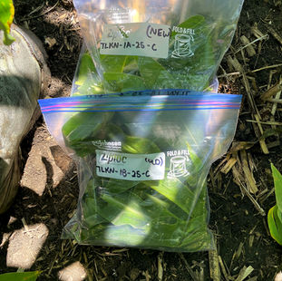 Building an Agronomic Strategy for Scaling Regenerative Ag: Aligning Agronomic Fit with Product Capabilities (Part 2)