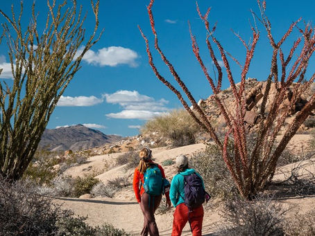 Trail Tales: Unleashing the Adventure of Female Friendship Through Hiking in Palm Springs