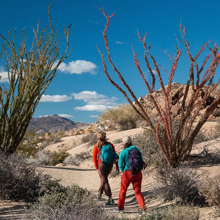 Trail Tales: Unleashing the Adventure of Female Friendship Through Hiking in Palm Springs