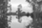 Reflection_edited.jpg