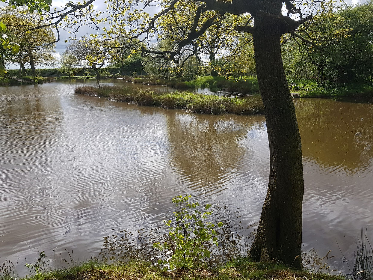 Fall Birch Lodge coarse fishery in Bolton